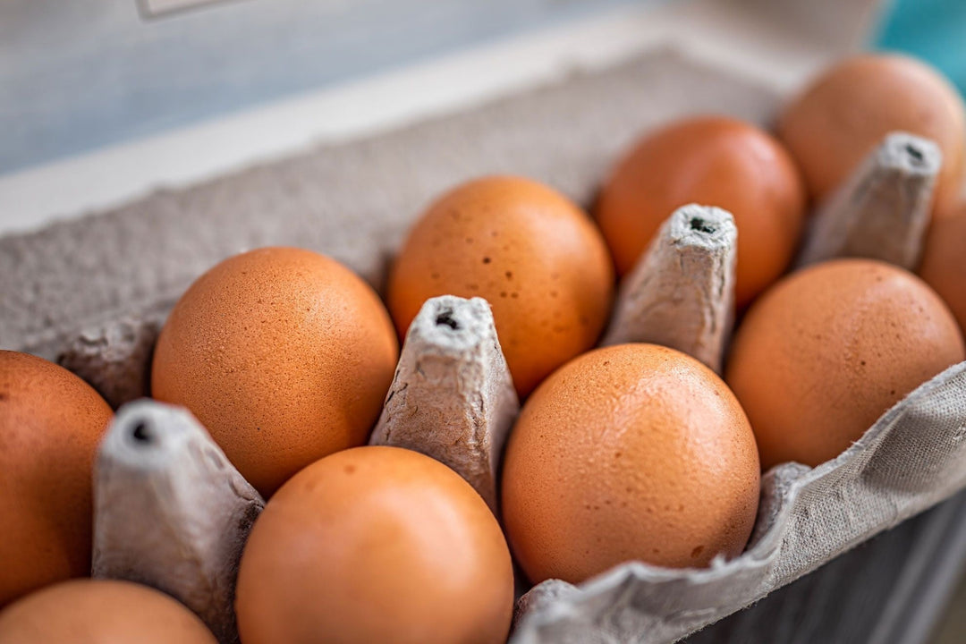 6 High Protein