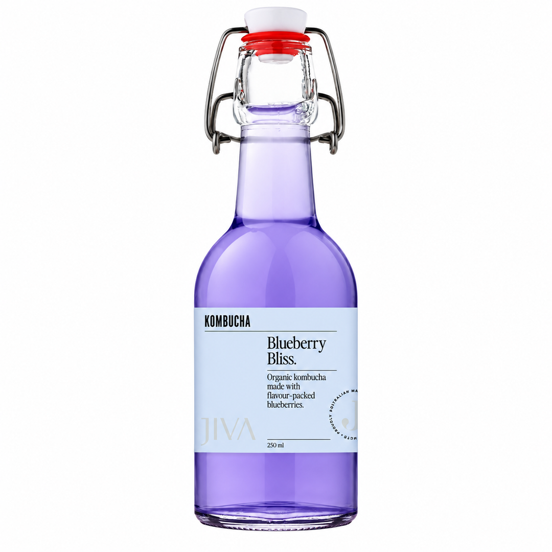 JIVA Kombucha Blueberry Bliss 250ml bottle