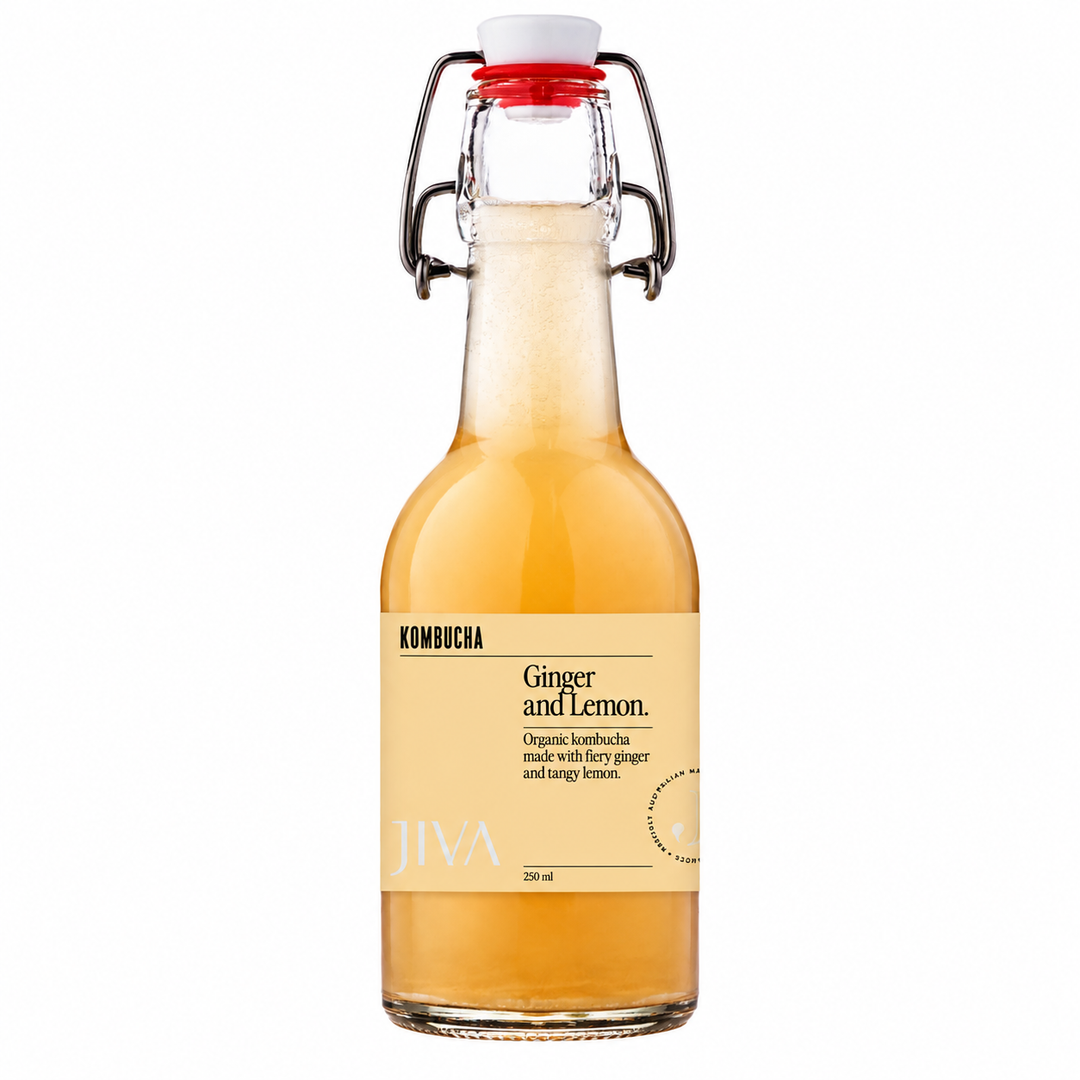 JIVA Kombucha Ginger & Lemon 250ml bottle
