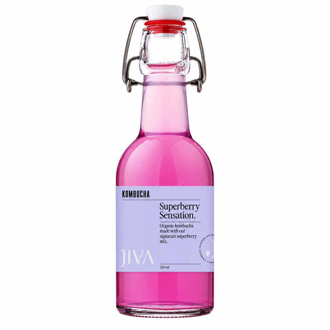 JIVA Kombucha Superberry Sensation 250ml bottle